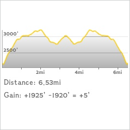 CHH peak profile